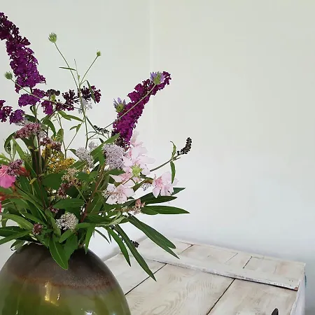 Stylish Holiday Home Near St Br S * Saint-Bres (Gard)